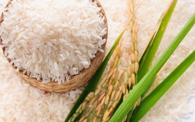 Giá gạo trong nước tăng nhẹ
