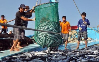 Lần đầu tiên tổ chức cuộc thi về khai thác, chế biến hải sản tại Việt Nam