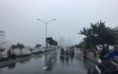 Bão số 12 đổ bộ khiến nhiều tuyến đường tại Khánh Hòa, Phú Yên ngập nặng, cây xanh gãy đổ