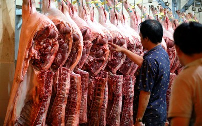 Vì sao giá heo hơi đang ở mức thấp nhất trong vòng một năm qua nhưng giá thịt heo vẫn cao?