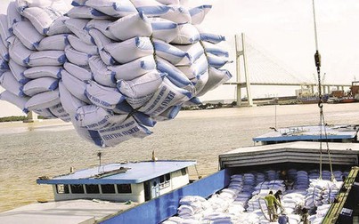 Gạo xuất khẩu ổn định ở mức giá cao