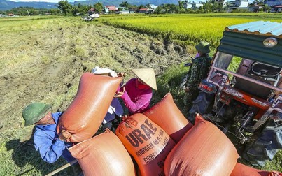 Xuất khẩu gạo sang thị trường Philippines tăng mạnh