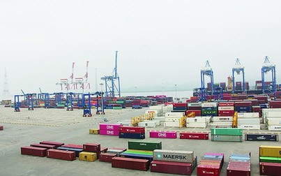 Thiếu container rỗng trong mùa cao điểm khiến xuất khẩu gặp khó khăn