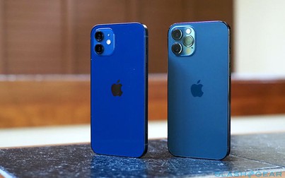 Chi phí sản xuất iPhone 12 và iPhone 12 Pro chưa bằng 1/2 giá bán lẻ