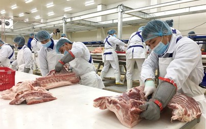 Hơn 110.000 tấn thịt heo ngoại về Việt Nam