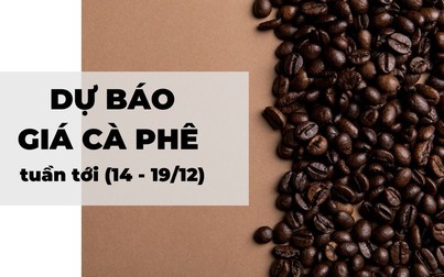 Dự báo giá cà phê tuần tới (14 - 19/12): Đà tăng cho cả hai sàn