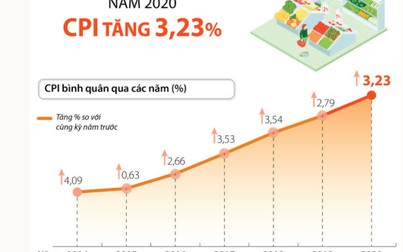 Giá gạo, gas, xăng dầu đẩy CPI cả nước tháng 12/2020 tăng 0,1%