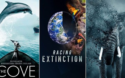 Nhìn lại 'bài học' từ năm 2020 qua 5 phim tài liệu về môi trường