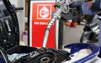 Giá dầu thô nhích nhẹ chờ OPEC gút sản lượng