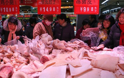 Trung Quốc áp dụng hợp đồng tương lai thịt heo giúp phòng ngừa rủi ro biến động giá heo