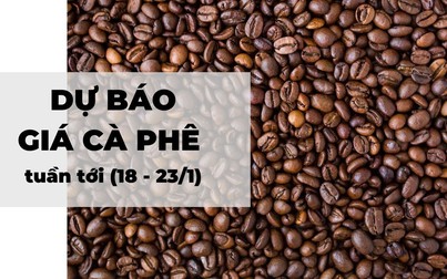 Dự báo giá cà phê tuần tới (18 - 23/1): Tín hiệu khả quan cho cà phê Arabica