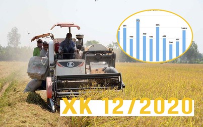 Xuất khẩu gạo Việt Nam tăng mạnh sau 3 tháng sụt giảm