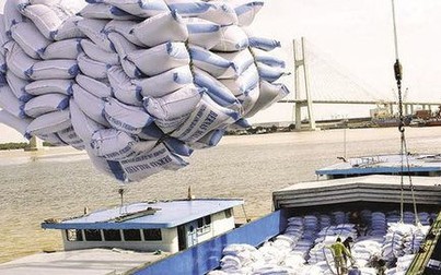 Philippines có thể không còn là nước nhập khẩu gạo hàng đầu trong năm 2021