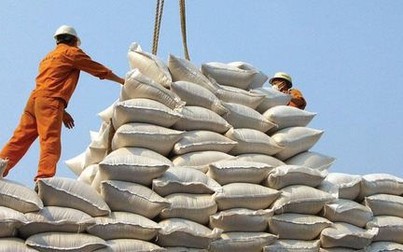 Xuất khẩu gạo thơm Việt Nam đang thuận lợi sang EU