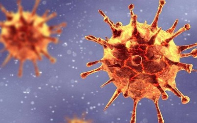 Virus gây đợt bùng phát tại TP.HCM là chủng mới xuất hiện ở Đông Nam Á