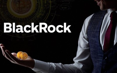 BlackRock, nhà quản lý tài sản lớn nhất thế giới bắt đầu tìm hiểu về bitcoin