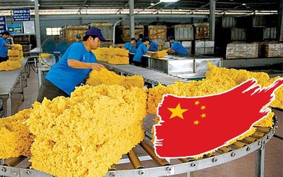 Việt Nam xuất siêu cao su sang Trung Quốc với hơn 1,83 tỷ USD