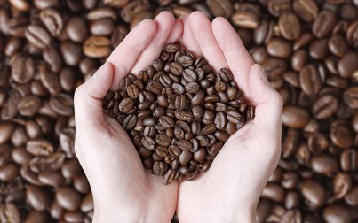 Thị trường cà phê được dự báo sẽ gặp khó khăn do dịch COVID-19