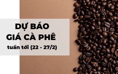Dự báo giá cà phê tuần tới (22 - 27/2): Nhu cầu phục hồi