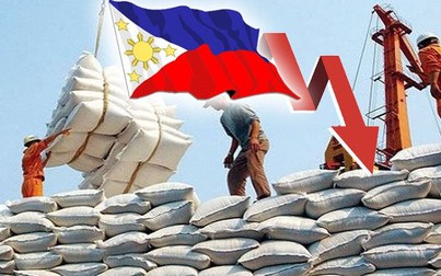 Xuất khẩu gạo sang Philippines giảm đến 49% trong tháng 2/2021