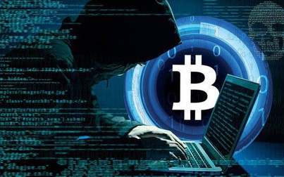 Thợ săn Bitcoin đang nhắm đến các nhà đầu tư non trẻ