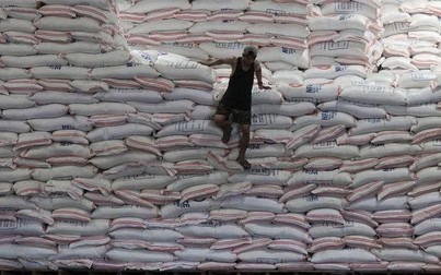 Giá gạo châu Á tăng cao nhất trong 9 năm qua do nhu cầu mạnh mẽ