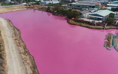 Doanh nghiệp xả thải vượt quy chuẩn ra đầm nước đổi màu tím ở Bà Rịa – Vũng Tàu
