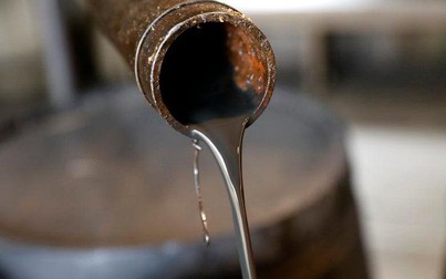 Dự báo lạc quan, giá dầu thô tăng nhẹ