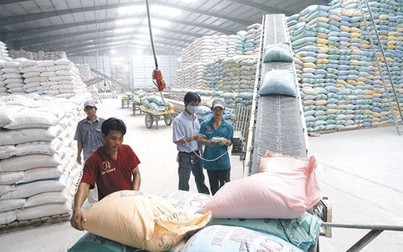 Xuất khẩu gạo giảm mạnh về lượng và giá trị
