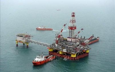 AmInvestment dự báo nhu cầu dầu mỏ toàn cầu chưa khôi phục