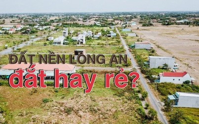 Giải mã thị trường bất động sản Long An: Đất nền Long An đắt hay rẻ? (bài 1)