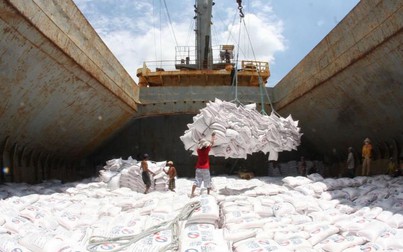 USDA dự báo Việt Nam sẽ tiếp tục đứng thứ 2 về xuất khẩu gạo trong năm 2021
