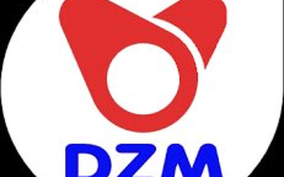 DZM: Báo cáo tài chính quý 1/2021
