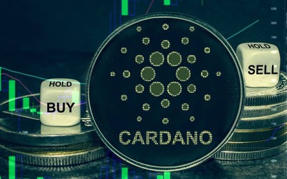 ADA coin là gì? Thông tin mới nhất về đồng Cardano