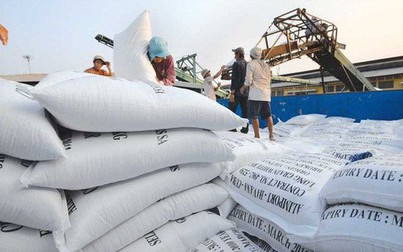 Philippines giảm thuế nhập khẩu gạo