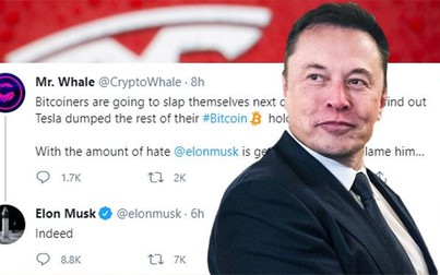 Thị trường tiền ảo đỏ rực sau khi Elon Musk đăng Tweet ám chỉ Tesla đã bán hết Bitcoin
