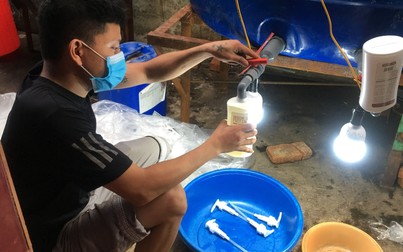 Triệt phá cơ sở sản xuất dầu gội, sữa tắm, nước giặt bằng 'công nghệ thùng phuy' ở Thanh Hóa