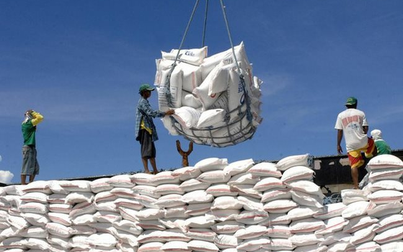 Nhập khẩu gạo Ấn Độ tăng bất thường, Bộ Công Thương kiểm tra 5 doanh nghiệp