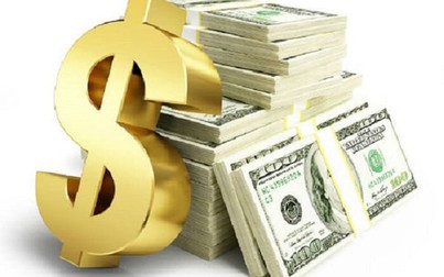 Đấu thầu qua mạng cần hồ sơ gì?