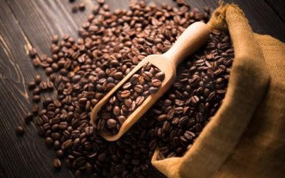 Giá xuất khẩu bình quân cà phê tháng 6/2021 đạt mức cao nhất trong ba năm