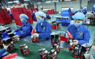 EVFTA - Chất xúc tác cho dư địa tiềm năng của doanh nghiệp Việt Nam