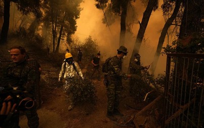 Cháy rừng ở Hy Lạp bước sang ngày thứ 6, cư dân hối thúc chạy trốn