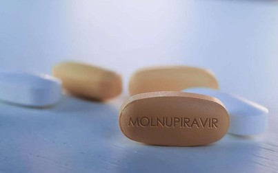 Thuốc kháng virus Molnupiravir có tỷ lệ âm hóa virus cao
