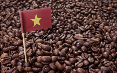 Dịch COVID-19 ở Việt Nam đã tác động đến giá cà phê thế giới như thế nào?