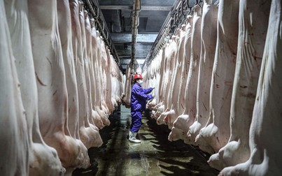 Giá thịt heo tại Trung Quốc giảm hơn 56% kể từ đầu năm 2021