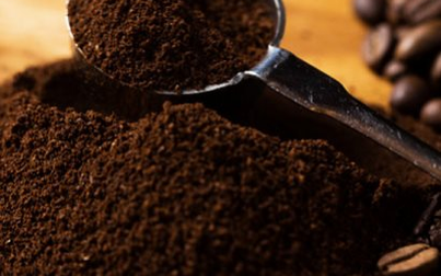 Đà tăng giá cà phê được dự báo còn kéo dài