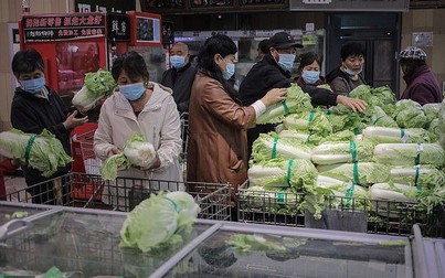 Người dân nhiều tỉnh thành Trung Quốc cuống cuồng tích trữ bắp cải