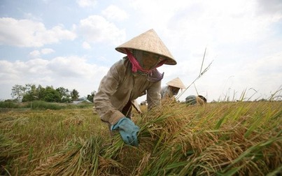 Đồng bằng sông Cửu Long thay đổi cơ cấu nông nghiệp sau khi Việt Nam tham gia COP26?