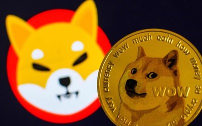 Shiba Inu và Dogecoin được tìm kiếm nhiều nhất trên Google Hoa Kỳ trong tháng 11