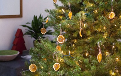 10 mẫu cây thông Noel đơn sắc tuyệt vời cho mùa lễ hội năm nay